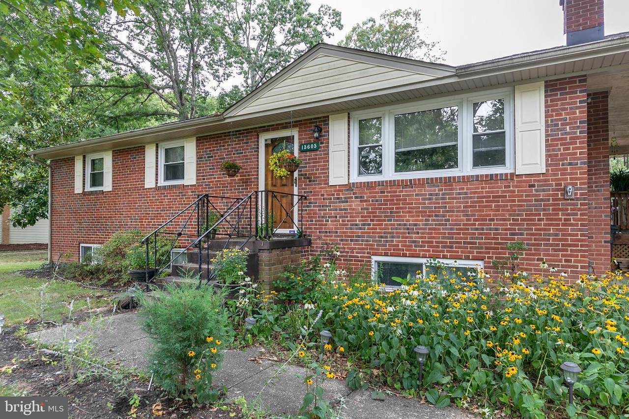 15605 Maple Drive - Photo 1
