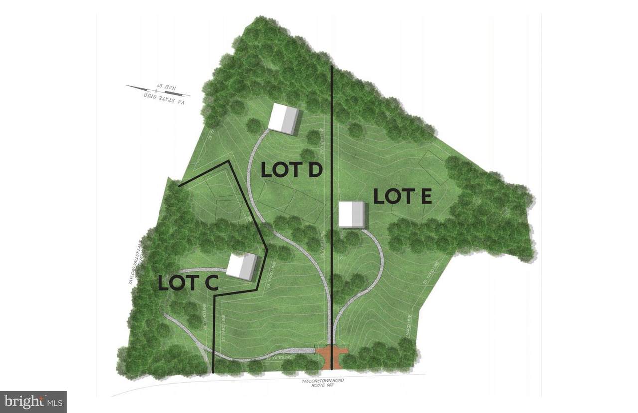 LOT D or LOT E Taylorstown Road - Photo 1