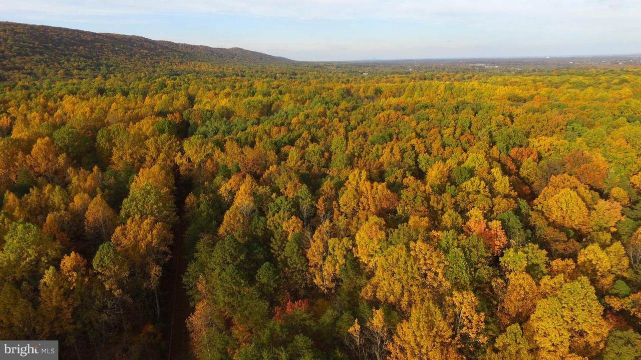 16512 Jackson Hollow Road - Photo 1