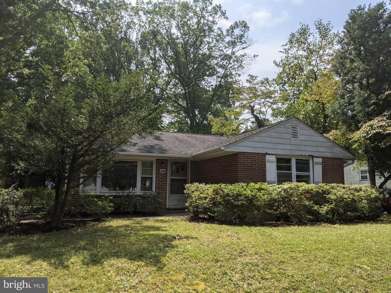 230 Rosenhayn Avenue - Photo 1