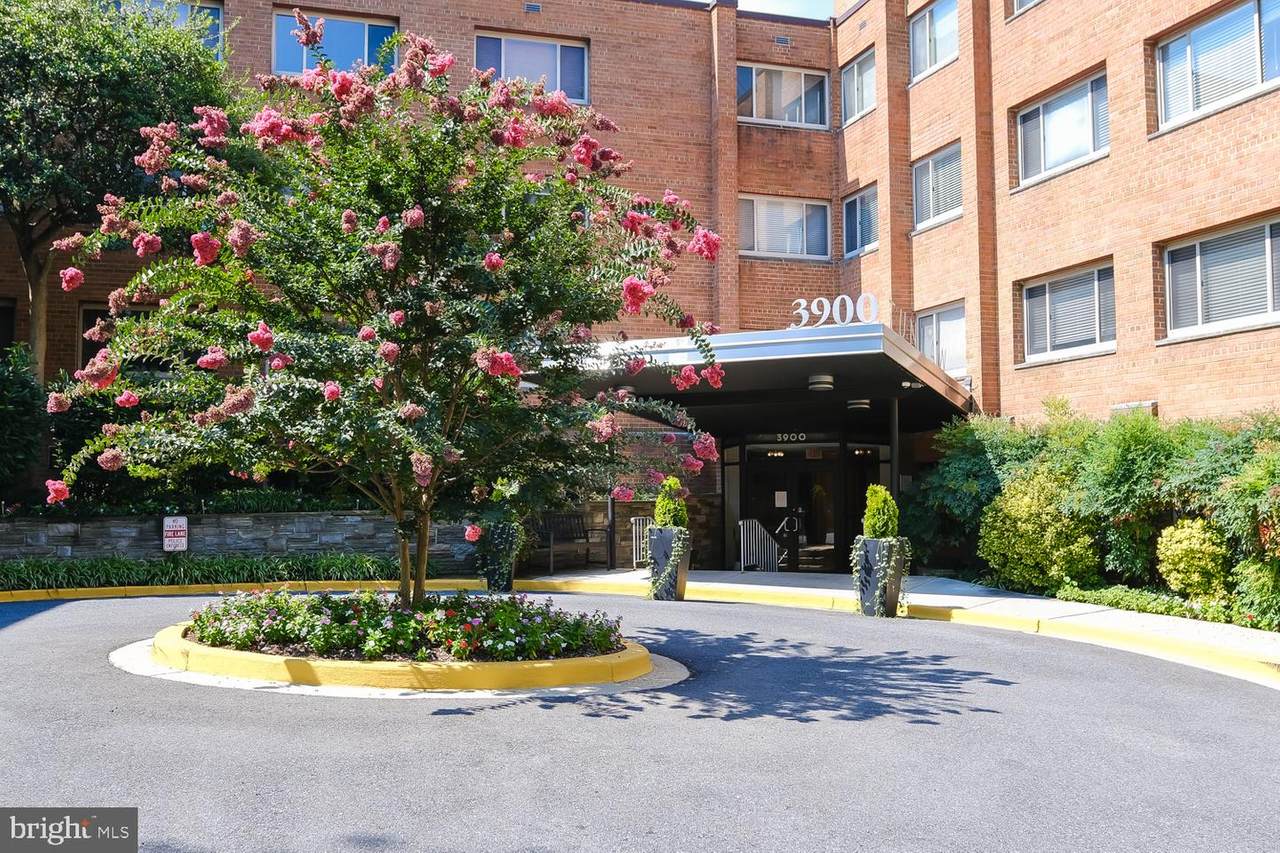 3900 Tunlaw Road - Photo 1