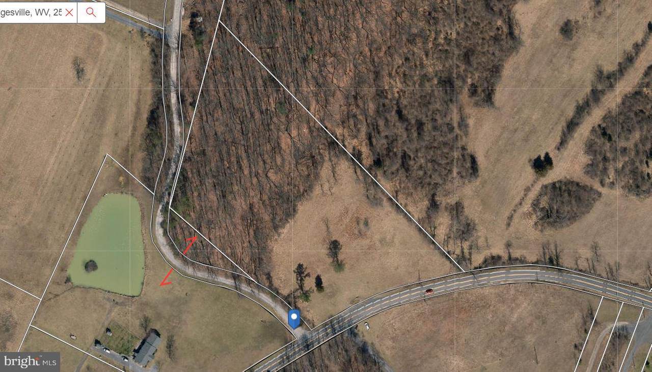 Back Creek Valley Road - Photo 1