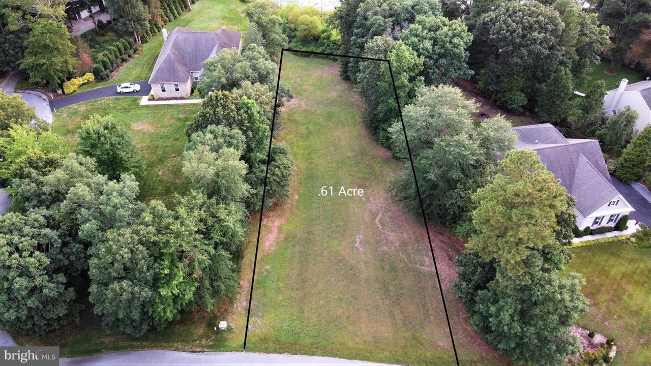 29732 Springwood Drive - Photo 1