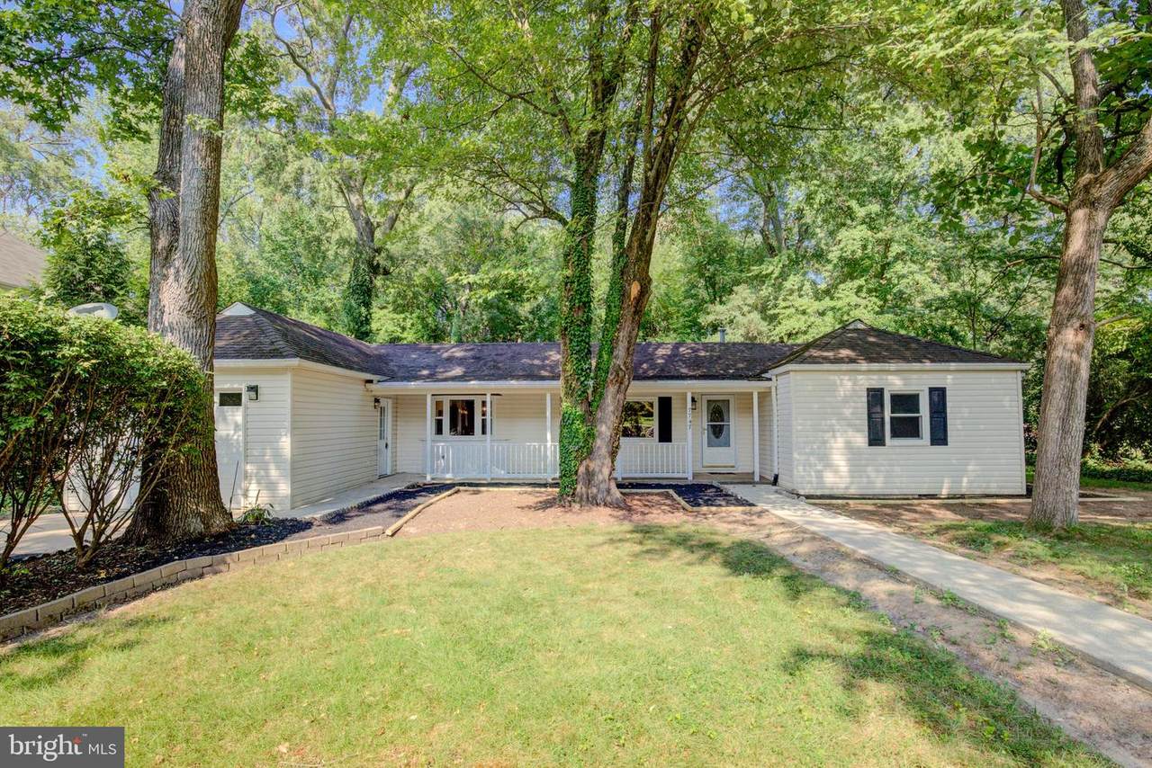 7747 Frances Drive - Photo 1