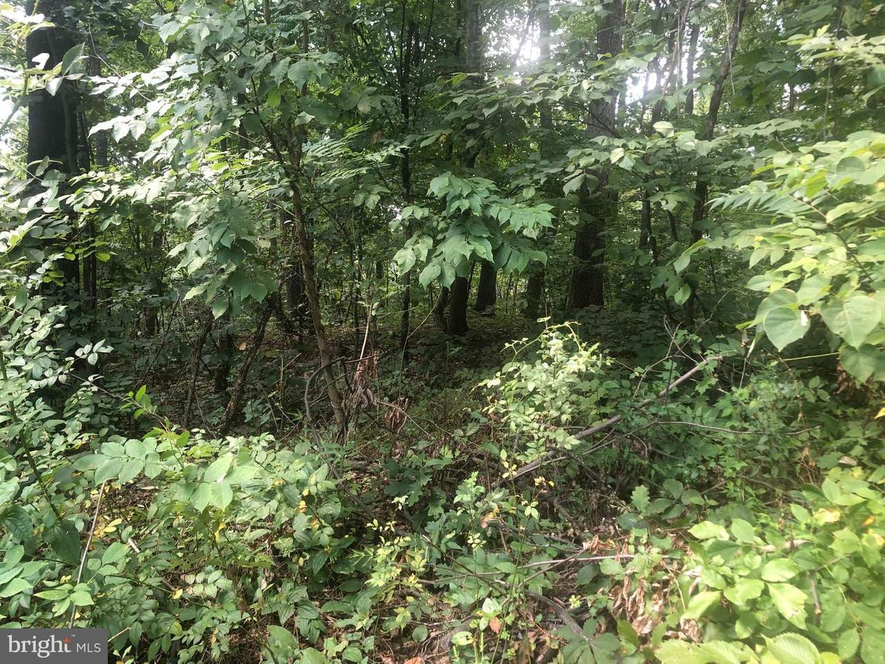Lot 20 Hilltop - Photo 1