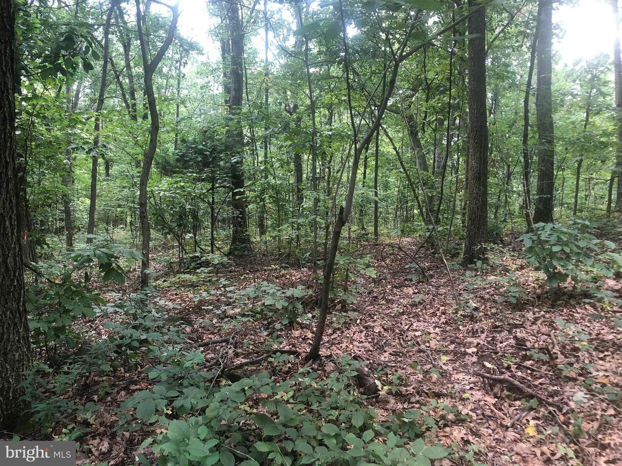 Lot 21 Hilltop - Photo 1