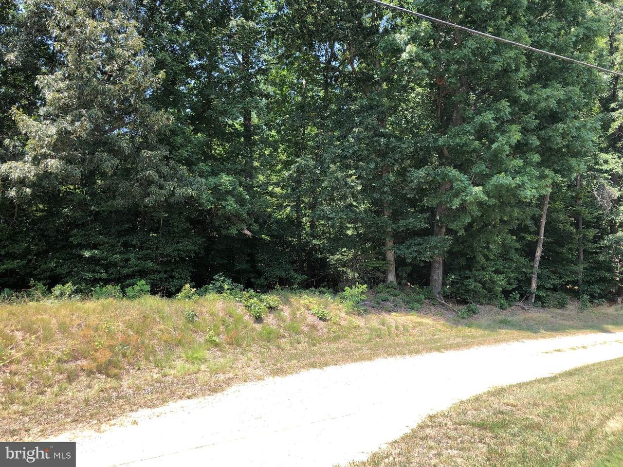 James Madison Parkway - Photo 1
