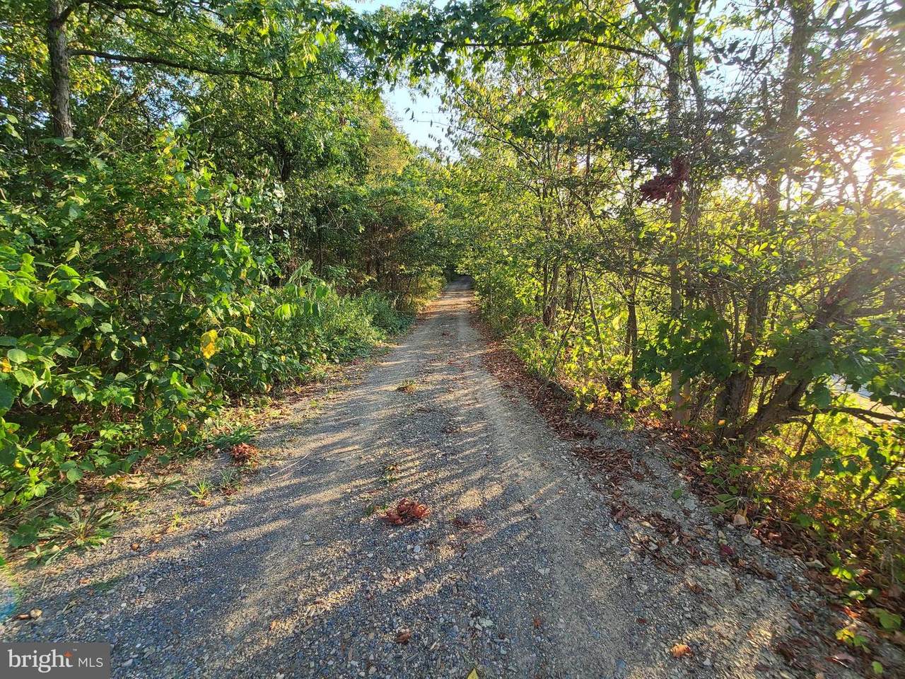 Old Furnace Rd - Photo 1