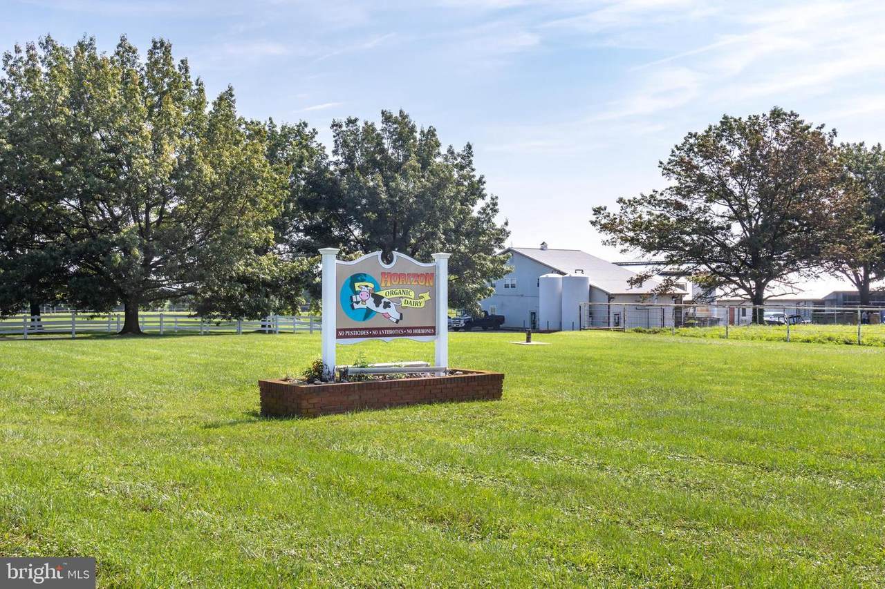11471 Augustine Herman Highway - Photo 1