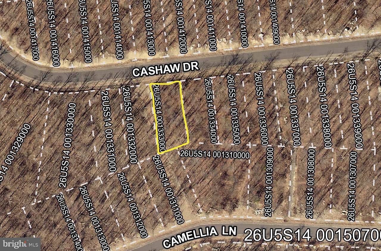 0 Cashaw Drive - Photo 1