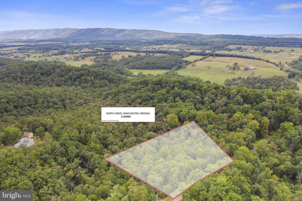 Lot 5 North Drive - Photo 1