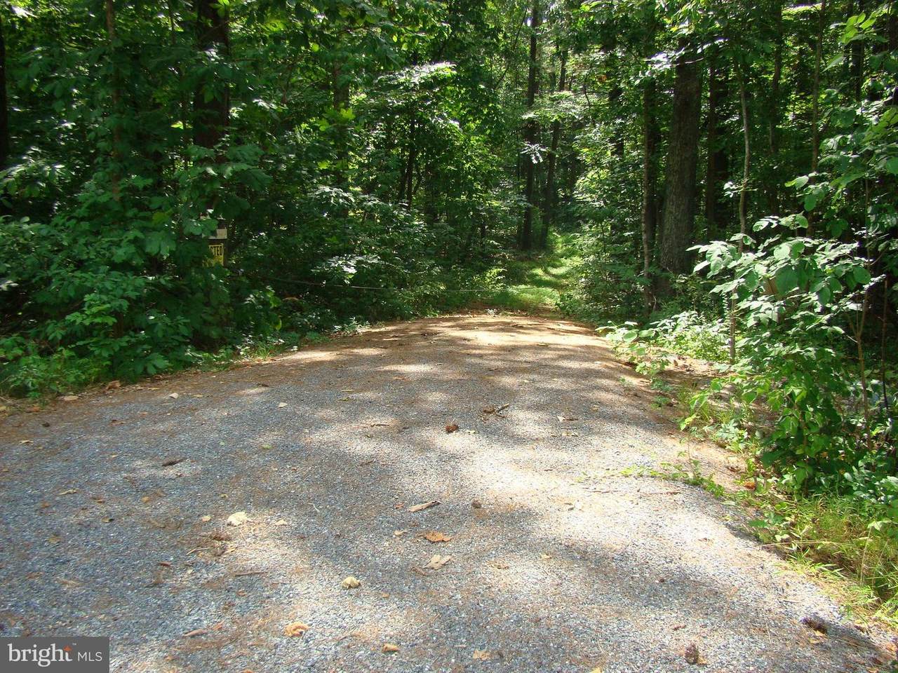 0 0 PRINTZ MILL ROAD - Photo 1