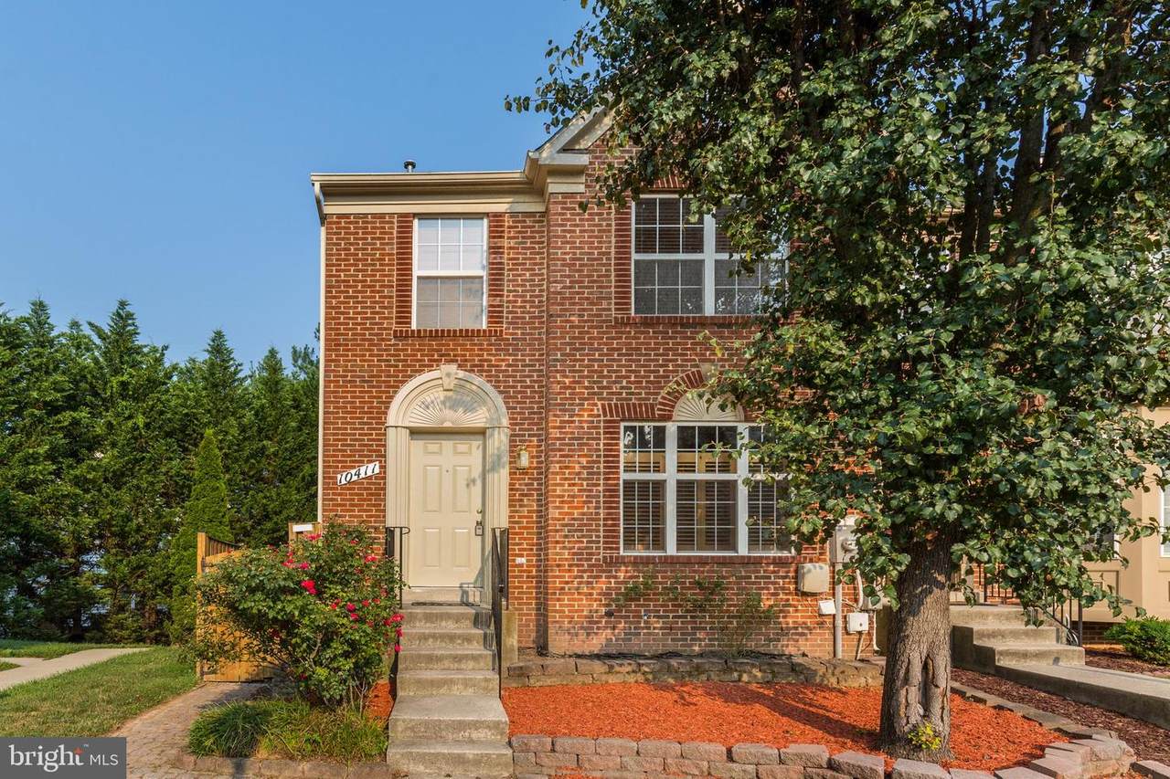 10411 Procera Drive - Photo 1