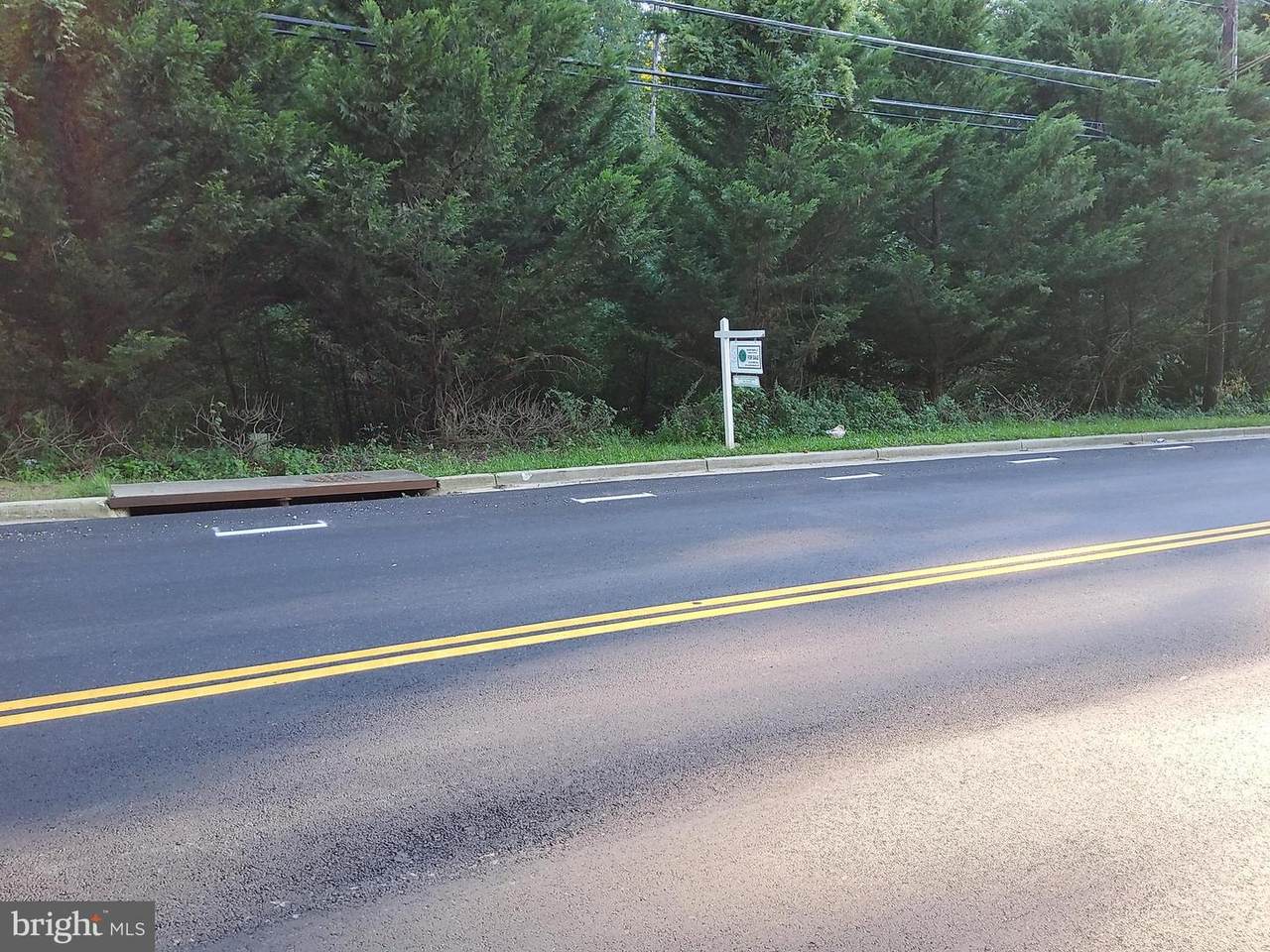 Darcy Road - Photo 1
