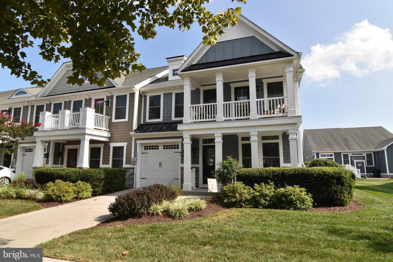 36584 Day Lily Parkway - Photo 1
