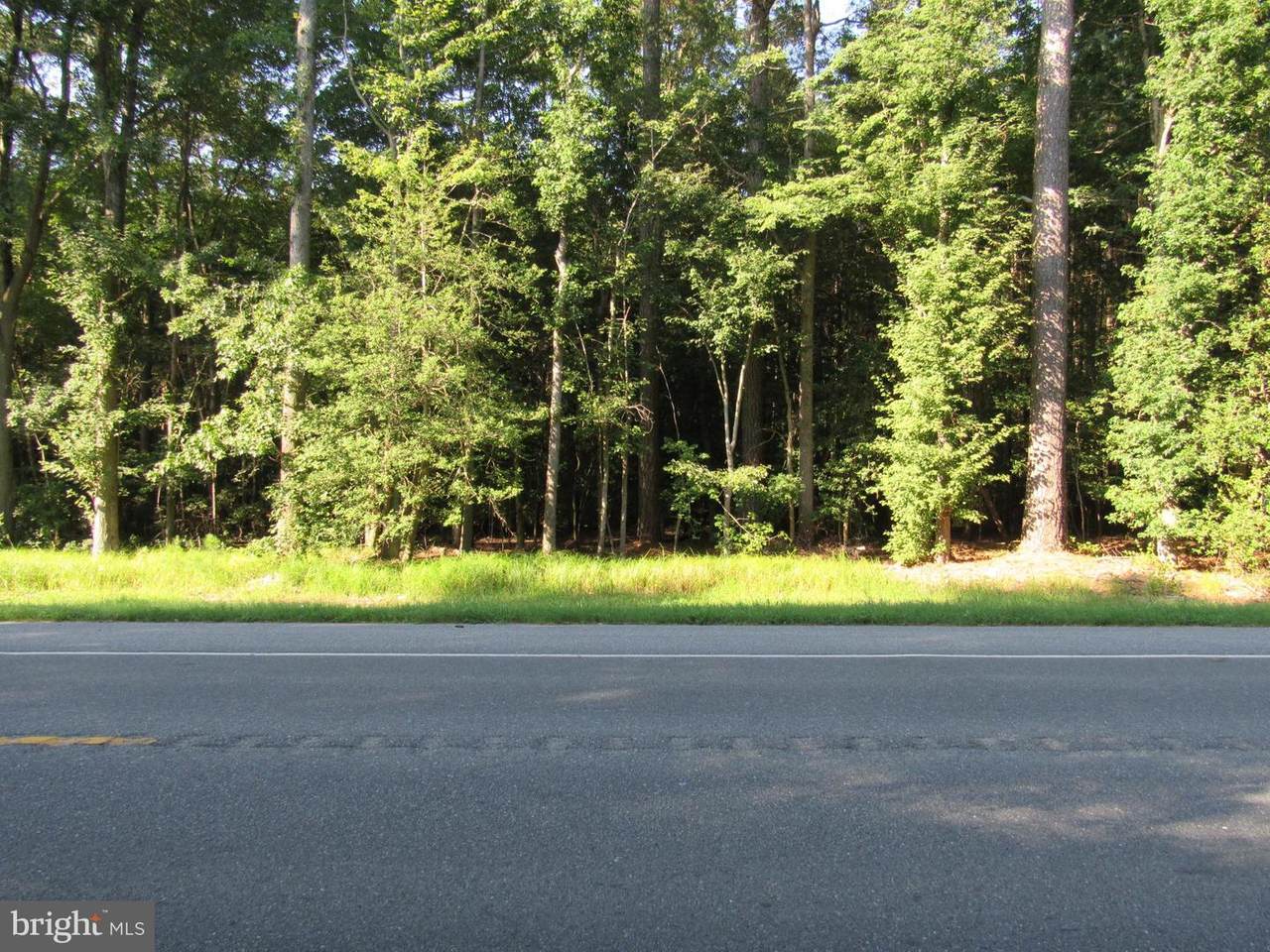 Hardscrabble Rd - Photo 1