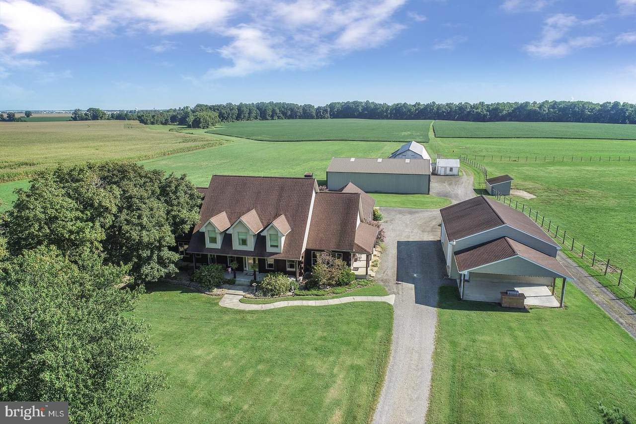 381 Dogtown Road - Photo 1