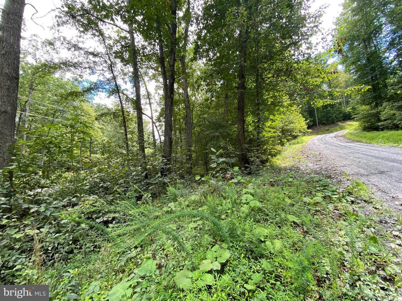 Eagles Crag Road - Photo 1