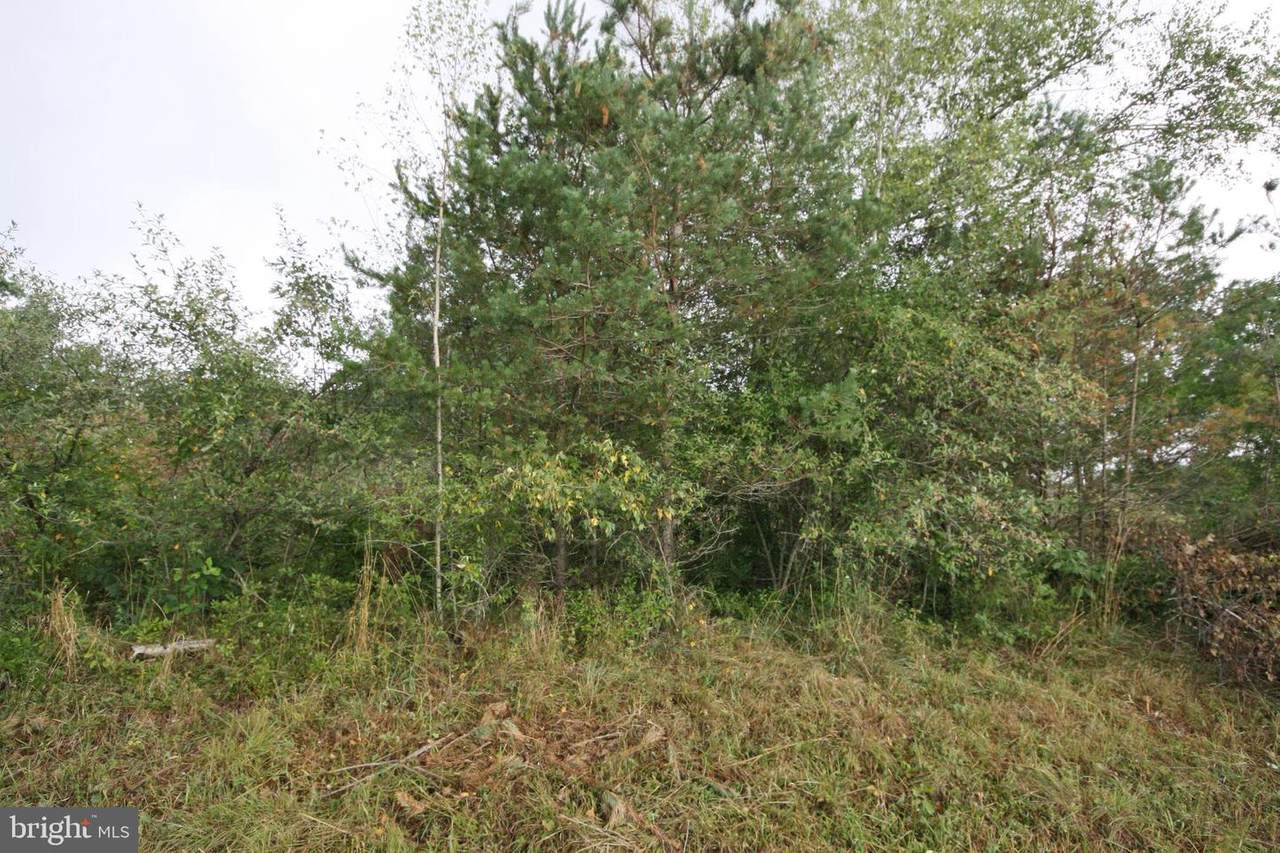 King Wildesen Road - Photo 1
