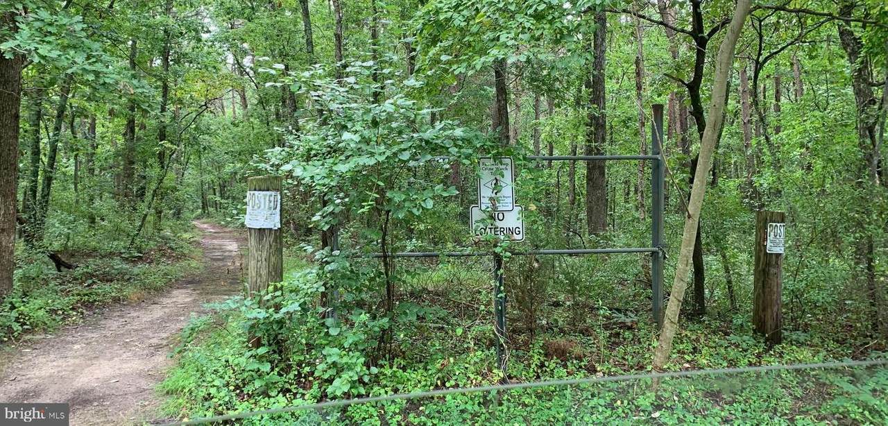 Gould Ave (Aka Robinson Farm Rd) - Photo 1