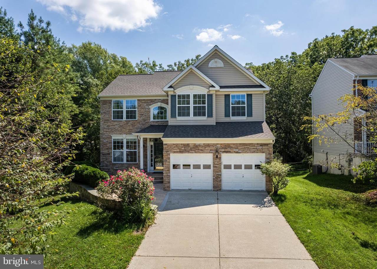 6201 Waving Willow Path - Photo 1
