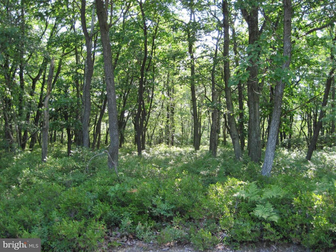227 Stony Mountain Road - Photo 1