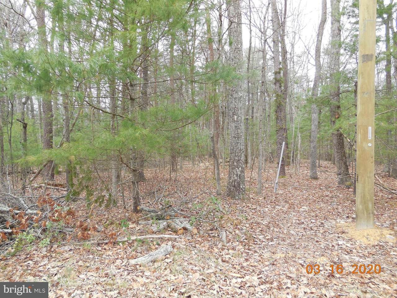 L55 Thunder Road - Photo 1