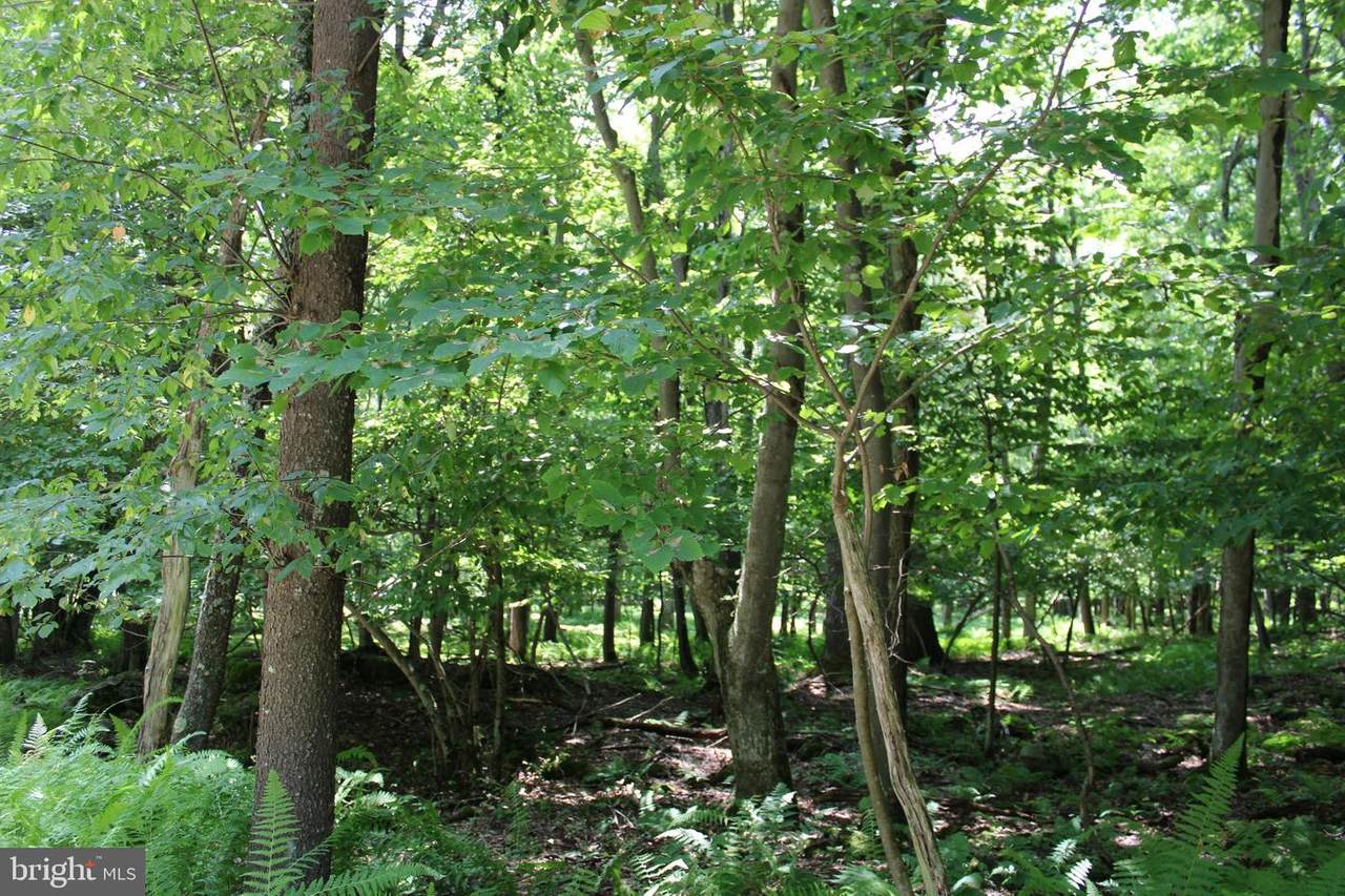 Lot 214 Trout Lily Circle - Photo 1