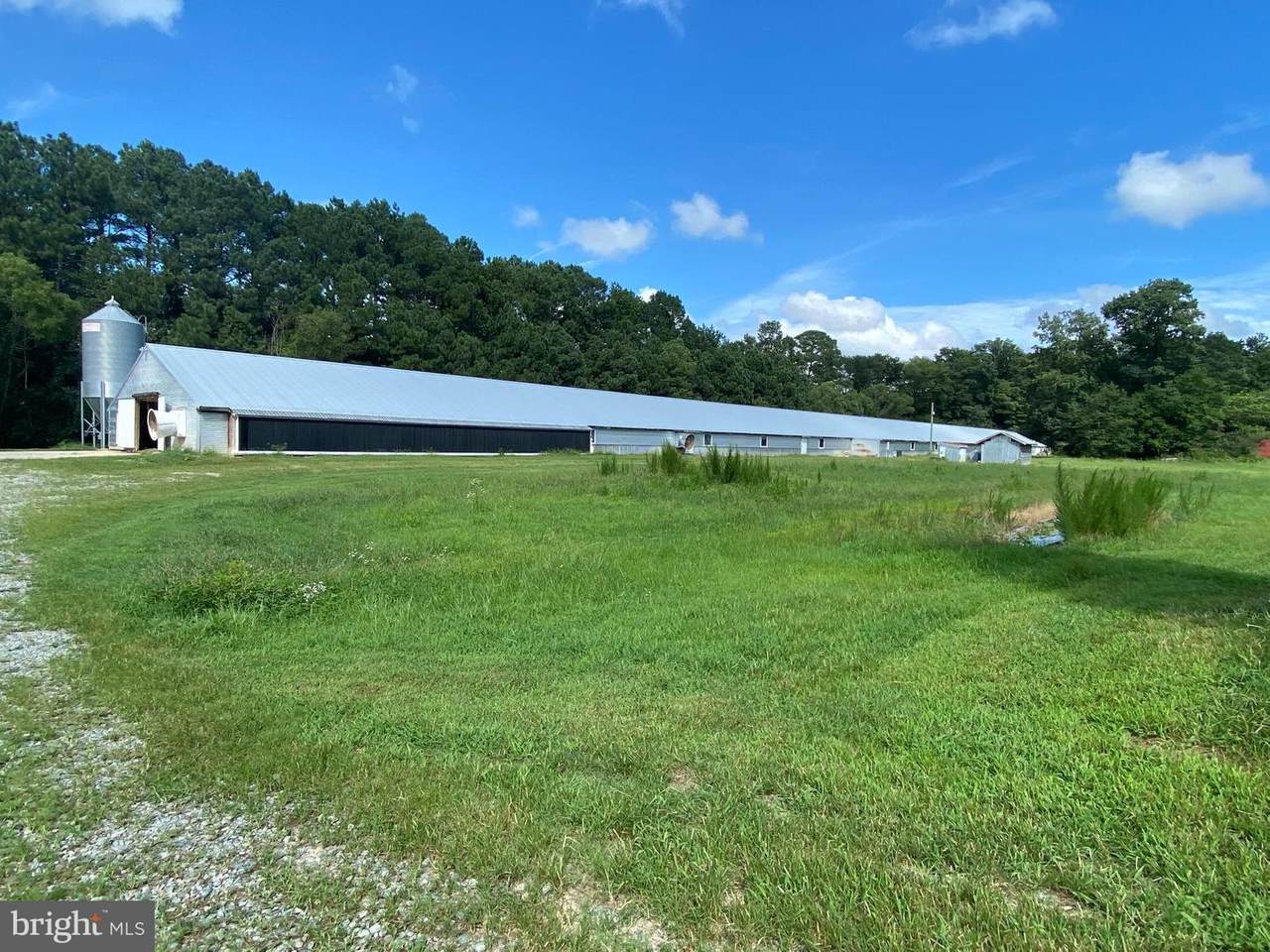 11245 Perryhawkin Church Road - Photo 1