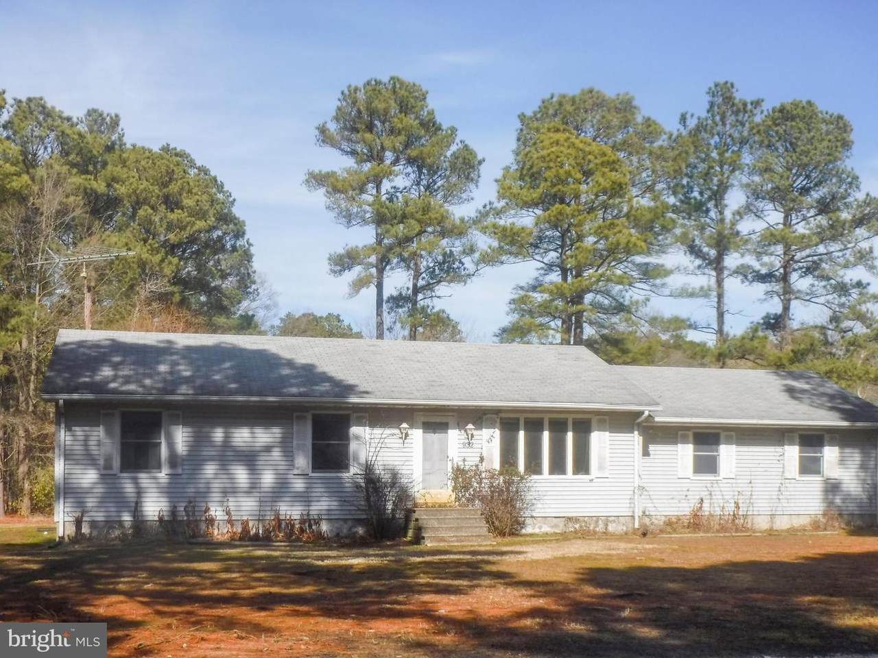 932 Parsons Drive - Photo 1