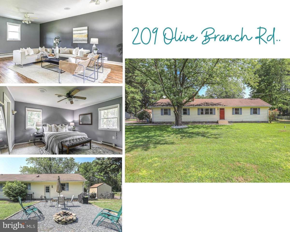 209 Olive Branch Road - Photo 1
