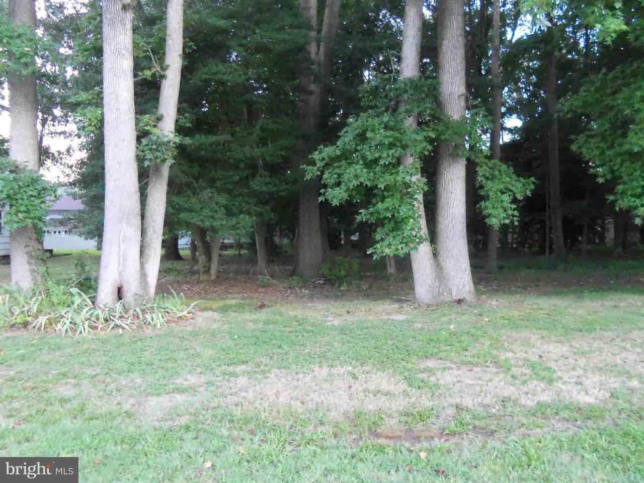 Robin Drive - Photo 1
