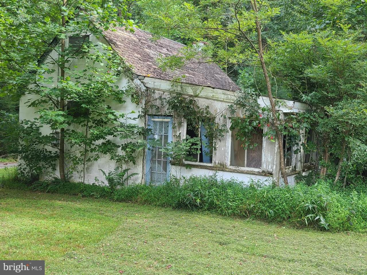 3630 Caldwell Hollow Road - Photo 1