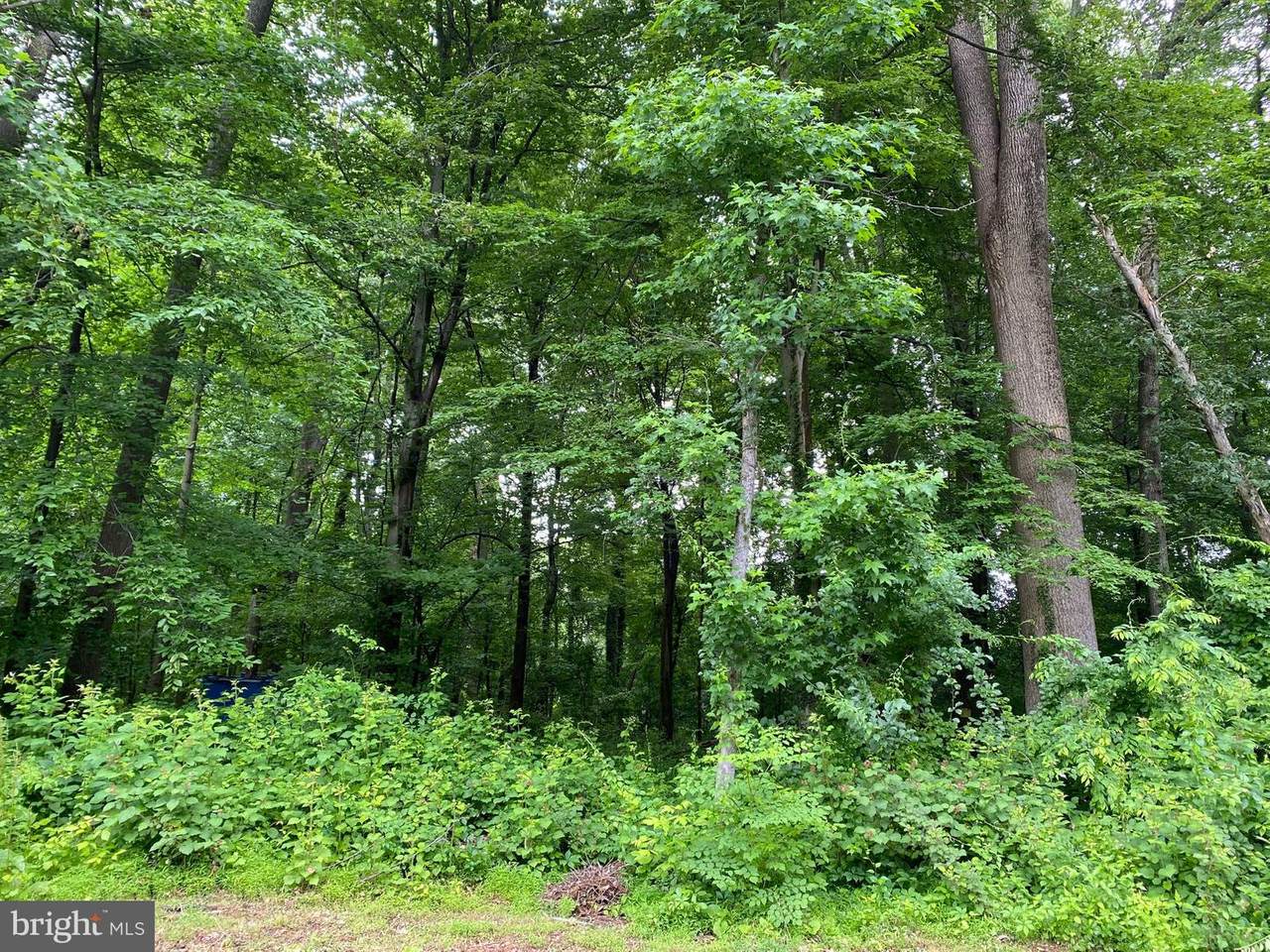 2358 Davidsonville Road - Photo 1