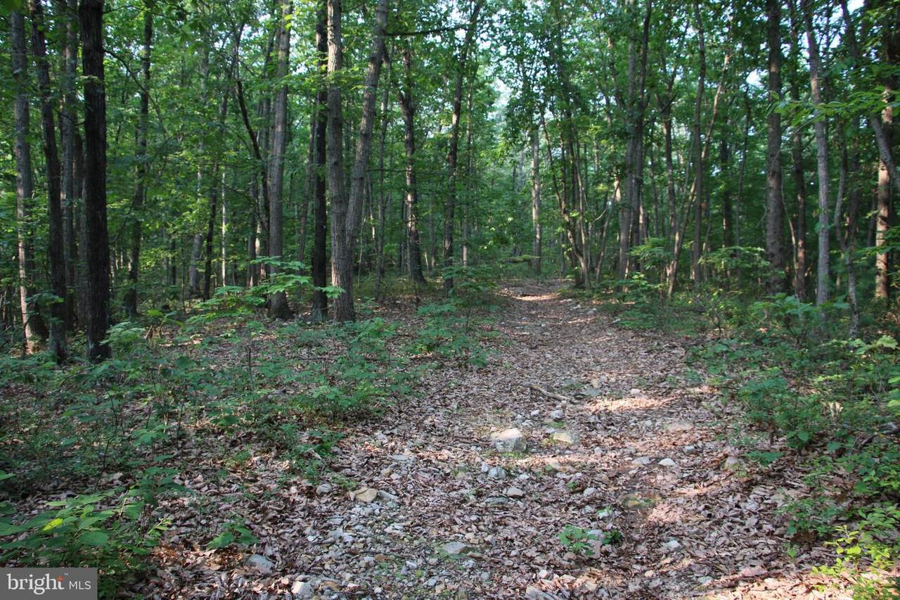 Marshall Lane - Photo 1