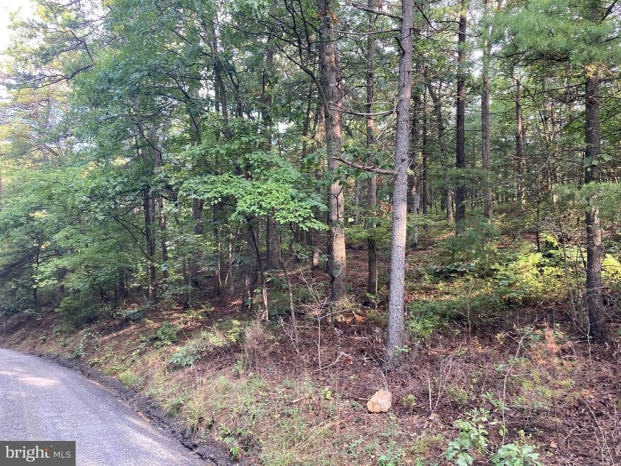Lot 28 Hummingbird Ln - Photo 1
