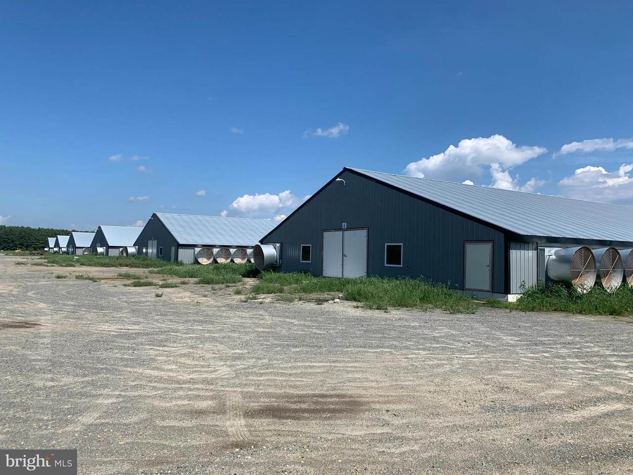 24018 Raccoon Ditch Road - Photo 1