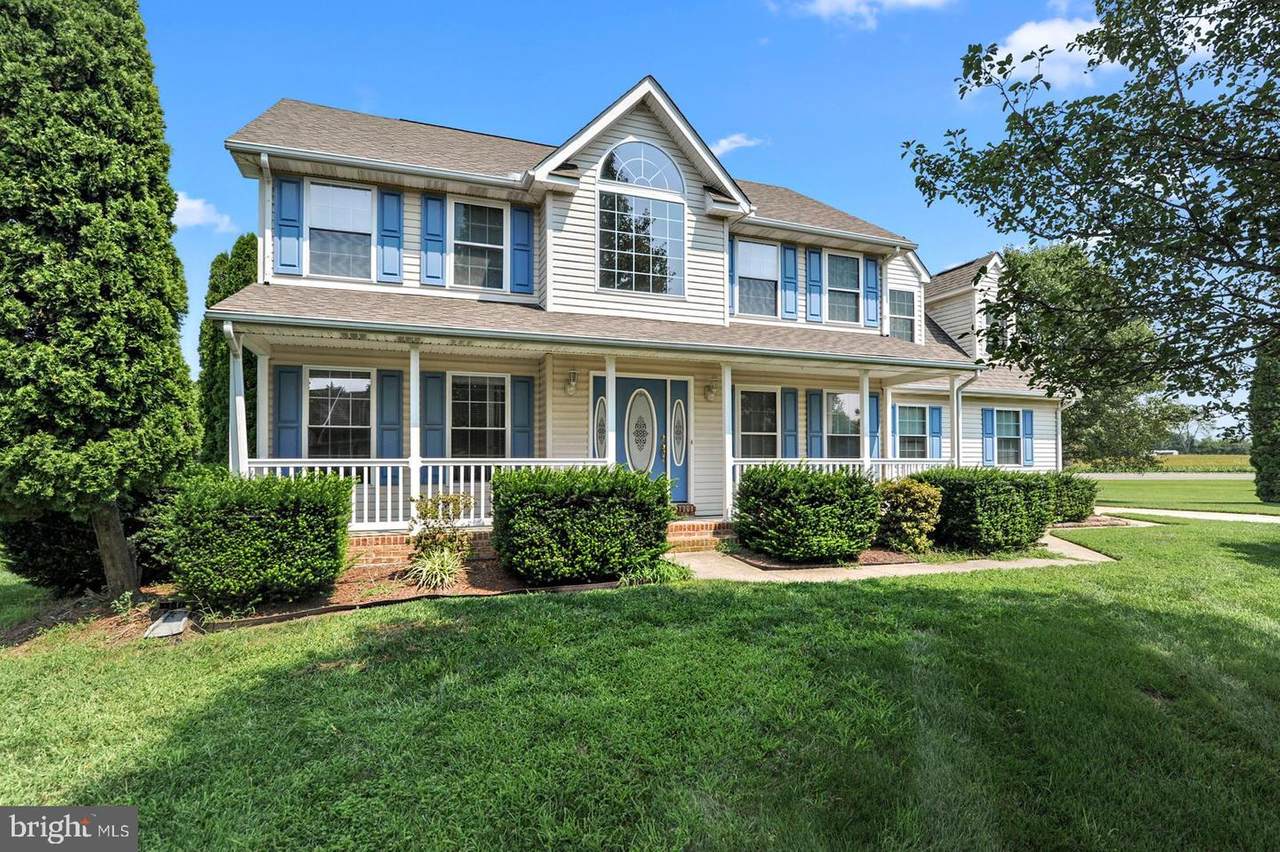 195 Apple Blossom Drive - Photo 1