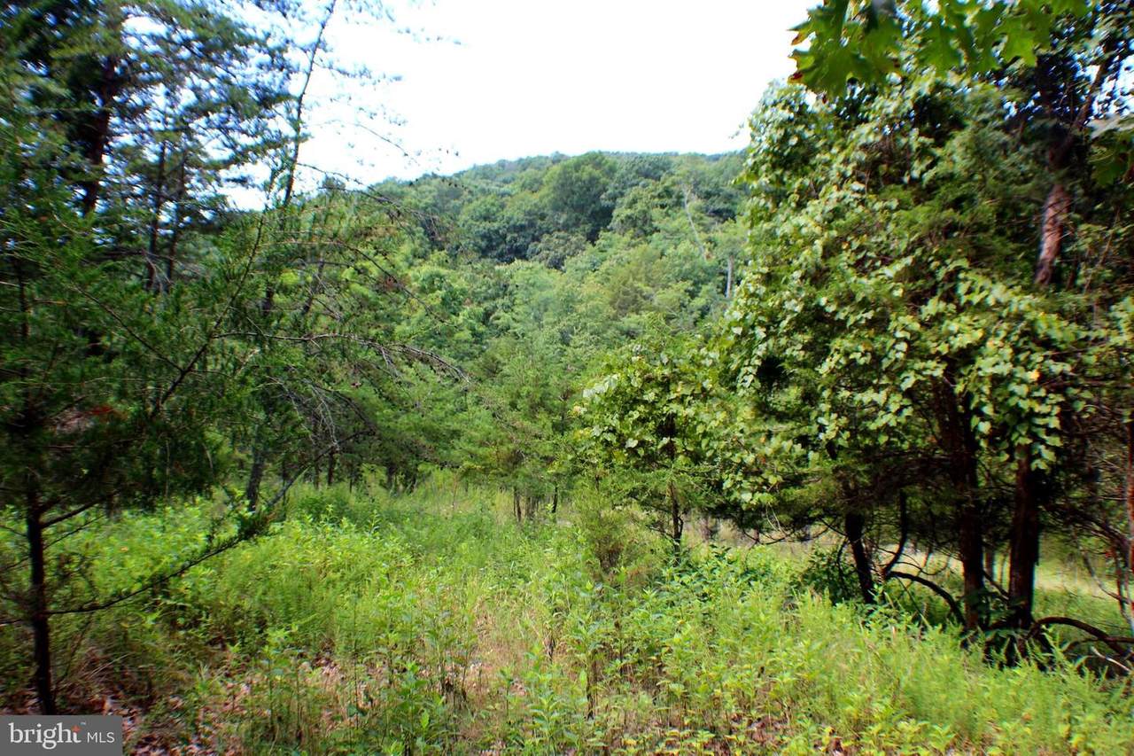 42.45 Acres OFF Trinity Road - Photo 1