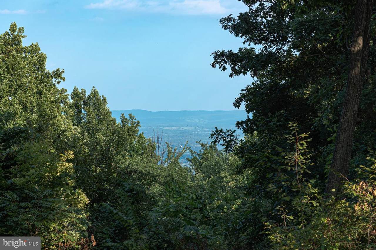 21486 Blueridge Mountain Road - Photo 1