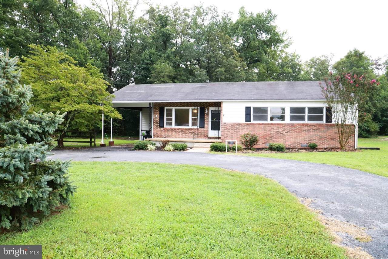 15201 Woodville Road - Photo 1