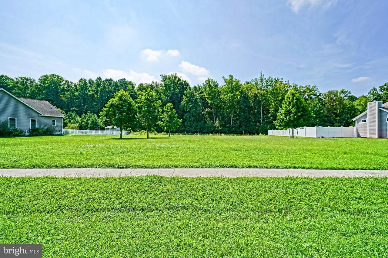 29143 Finch Lane - Photo 1