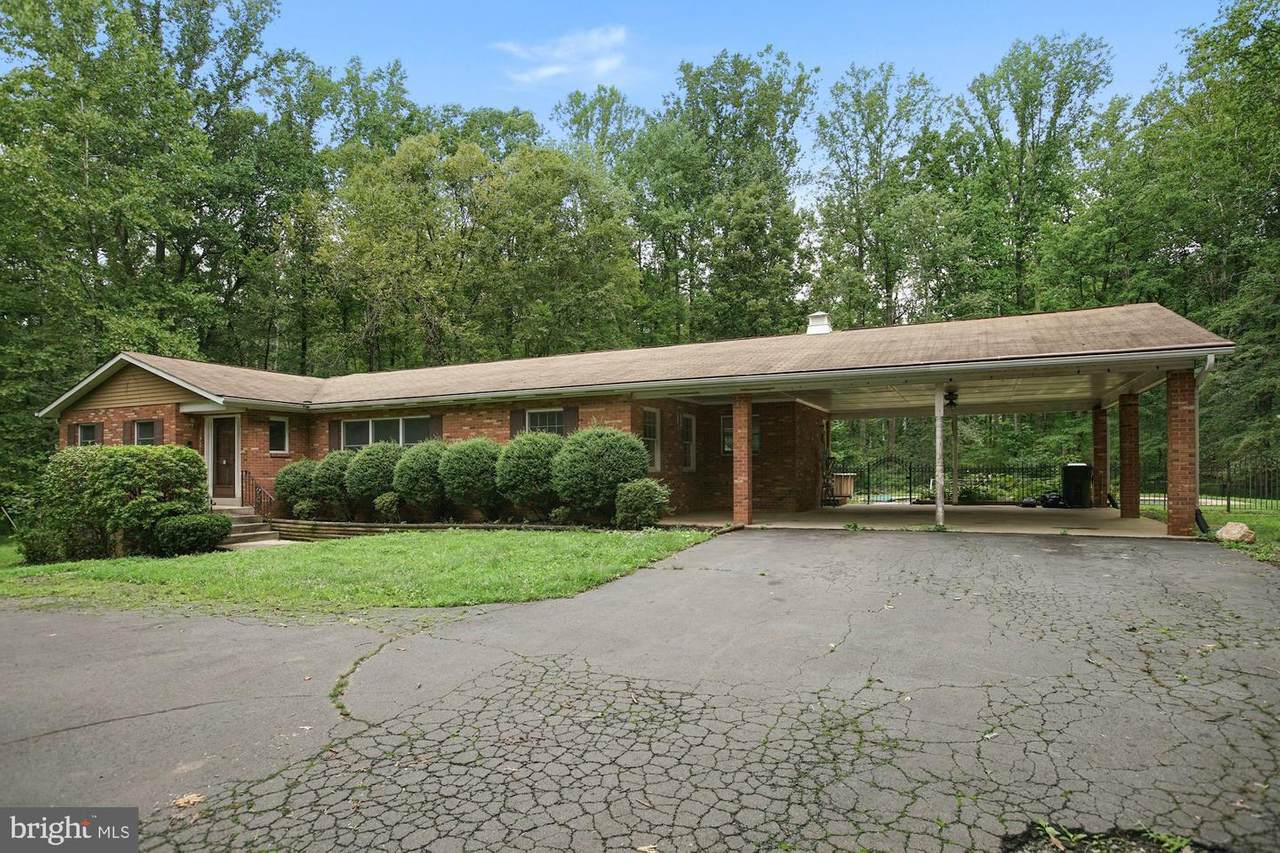5136 Bobcat Court - Photo 1