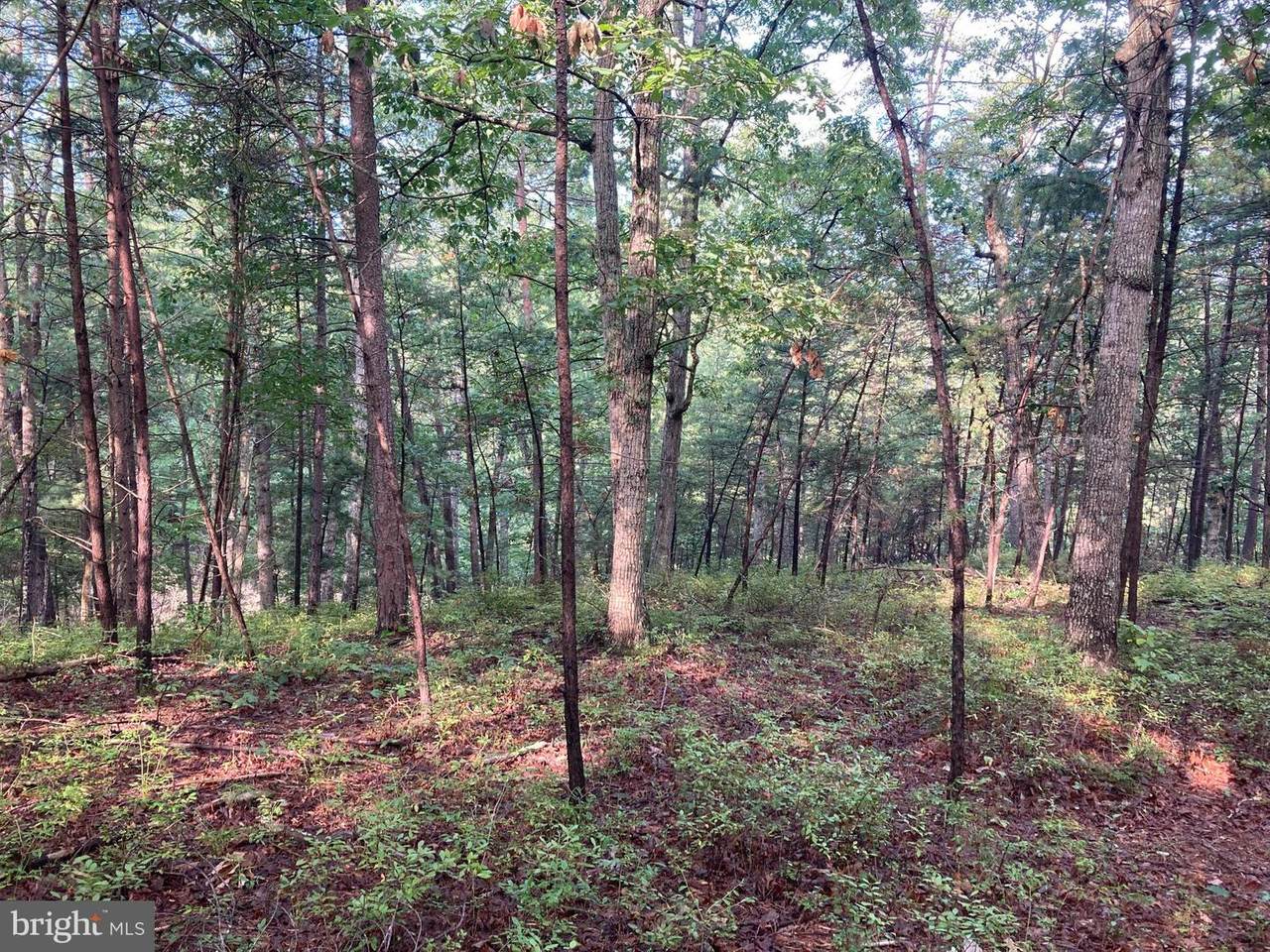 Lot 44 Hummingbird Lane - Photo 1