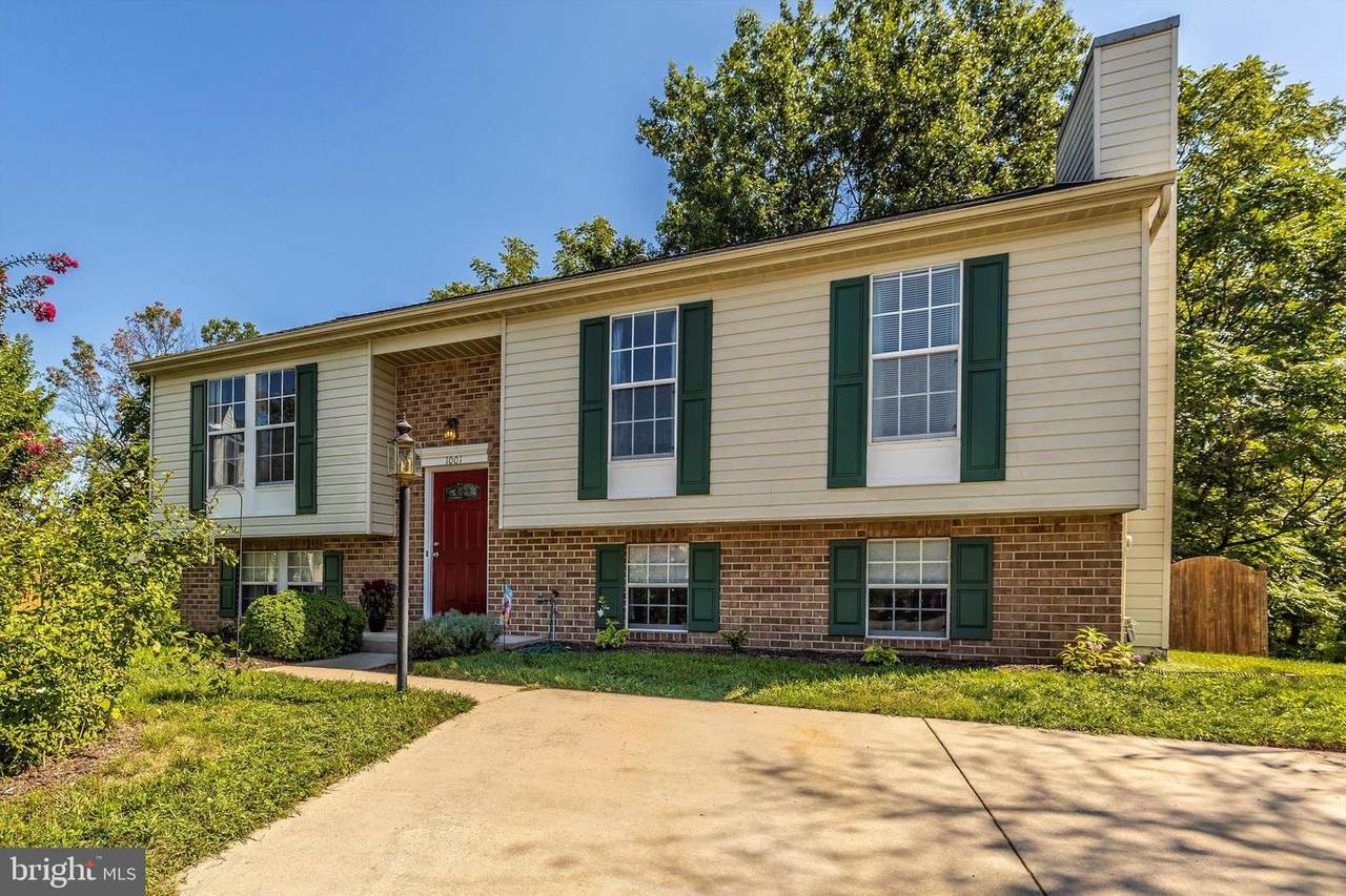 1001 Chinaberry Drive - Photo 1