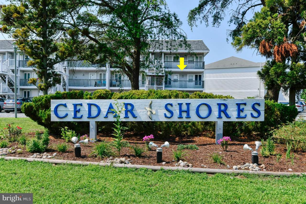 30138 Cedar Shores Road - Photo 1