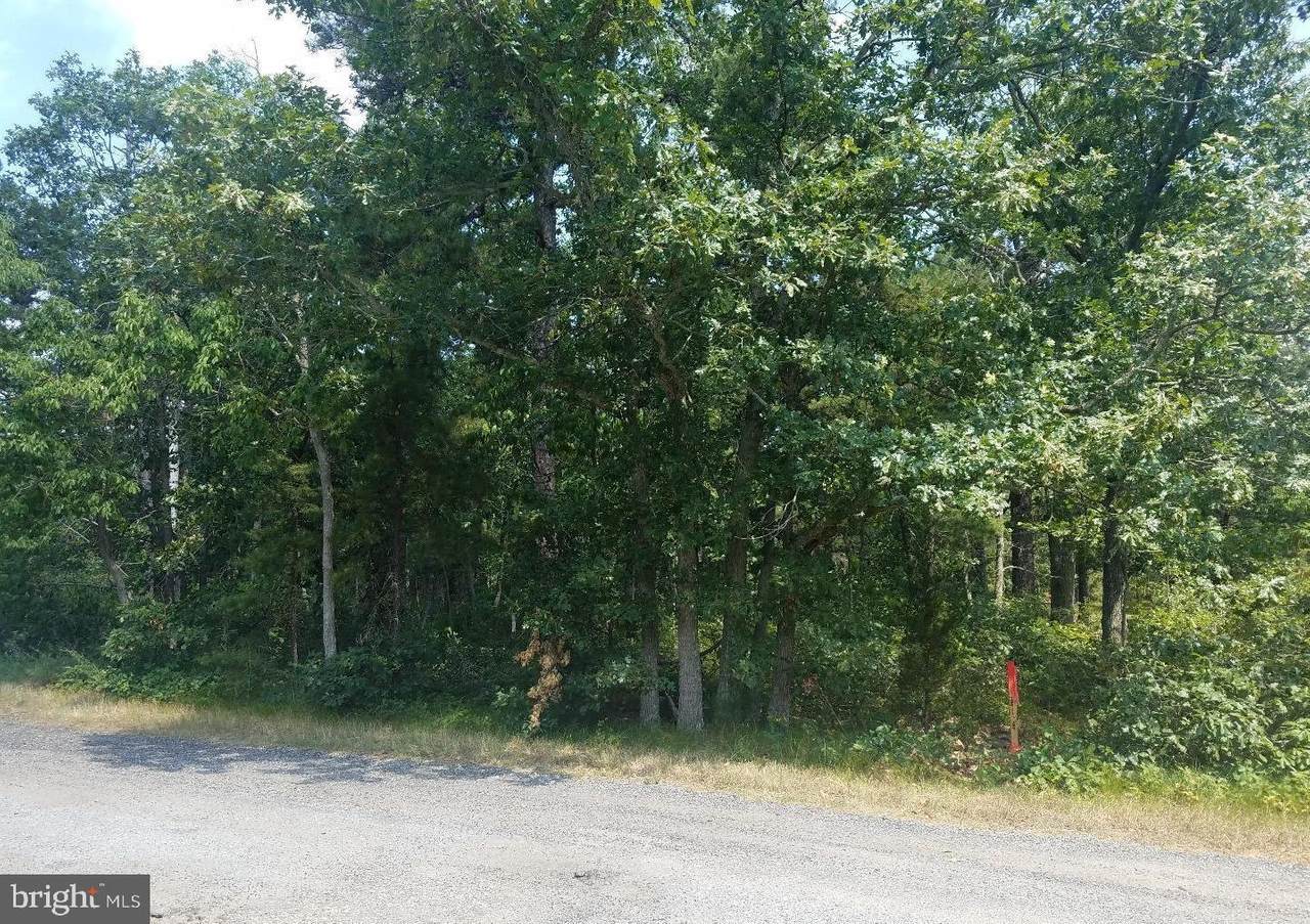 0 Chestnut Avenue - Photo 1