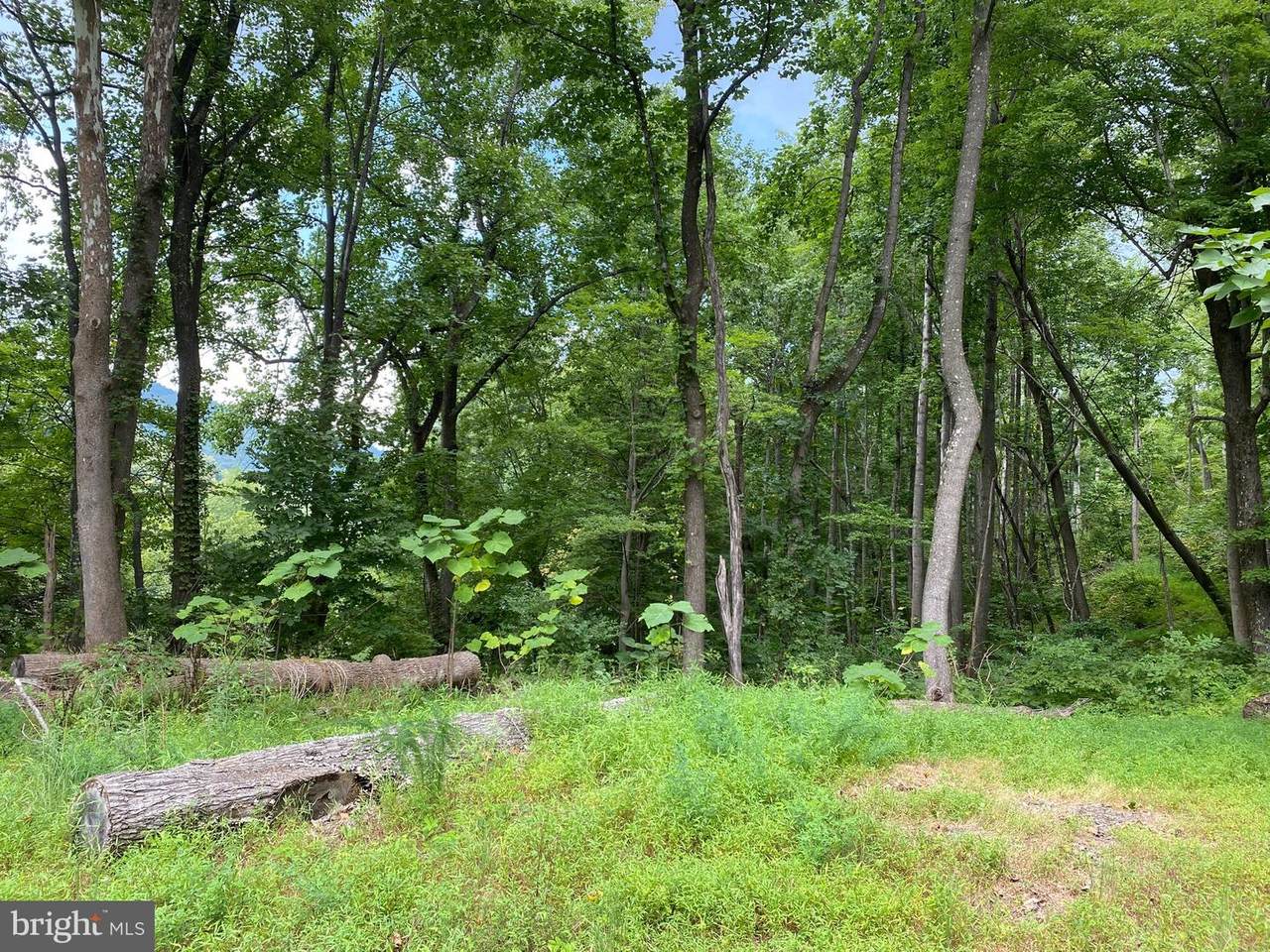 0 Etlan Road - Photo 1