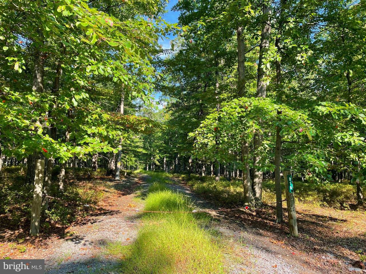 Doman Ridge Road - Photo 1