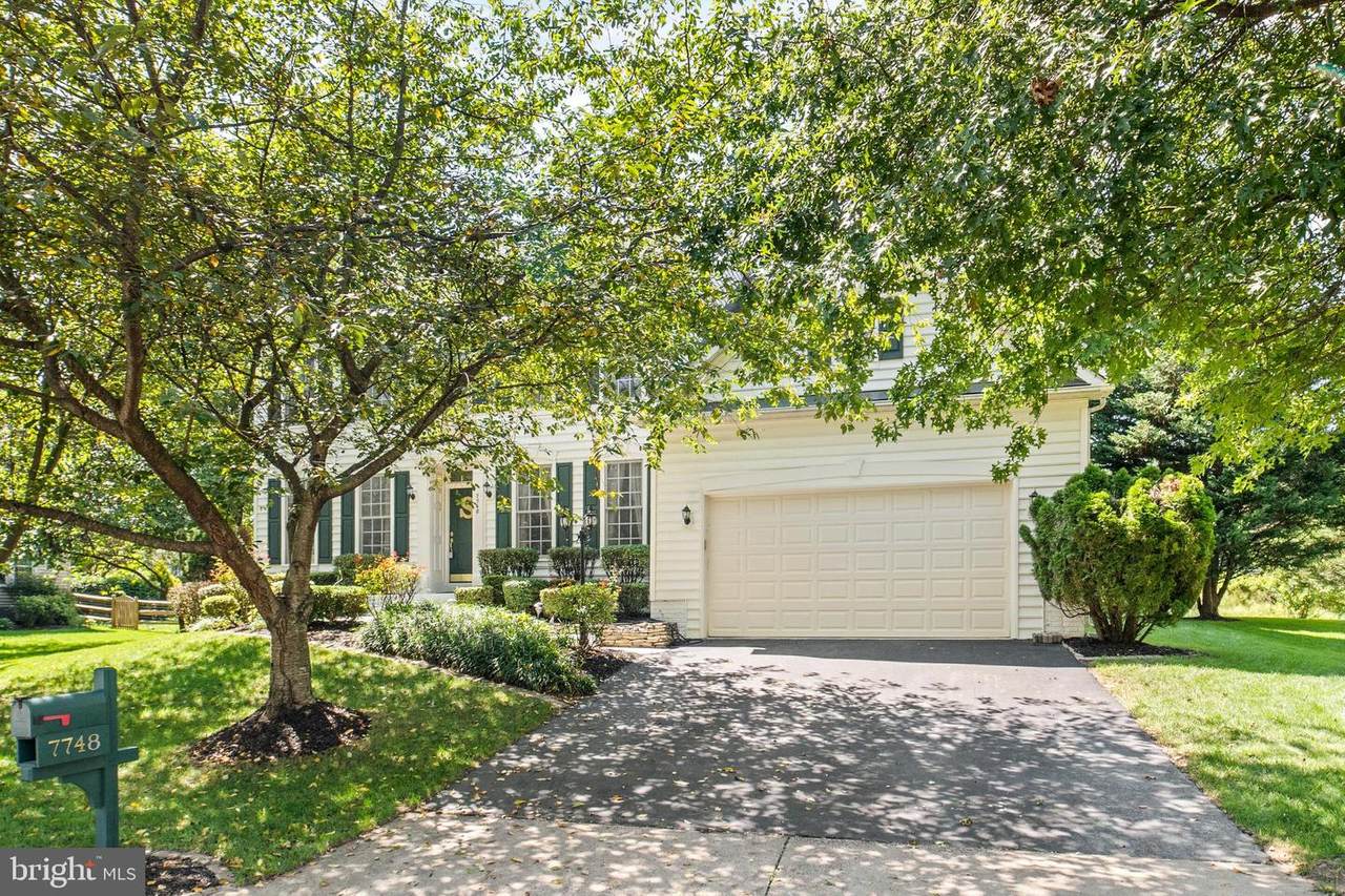 7748 Royal Sydney Drive - Photo 1